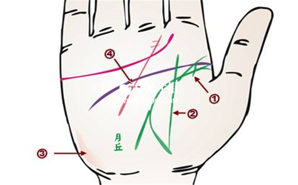 看手掌观疾病