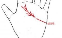 �������жϸ���������Σ����Ƿ��Ҹ�����Ԥʾ��