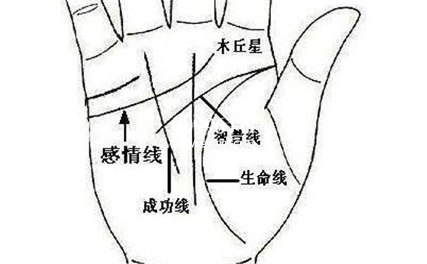 漏财手相有哪些