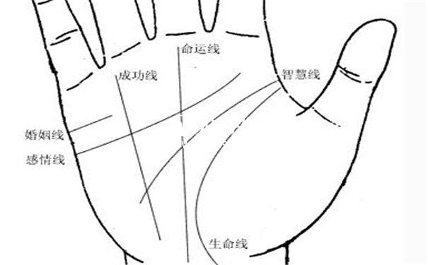 手掌纹