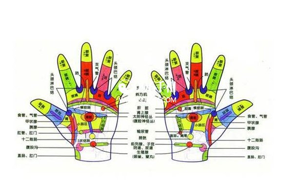 宝宝手掌拇指根部发青
