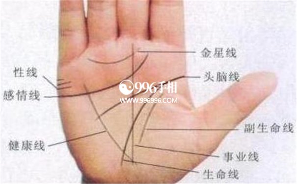 福气手相
