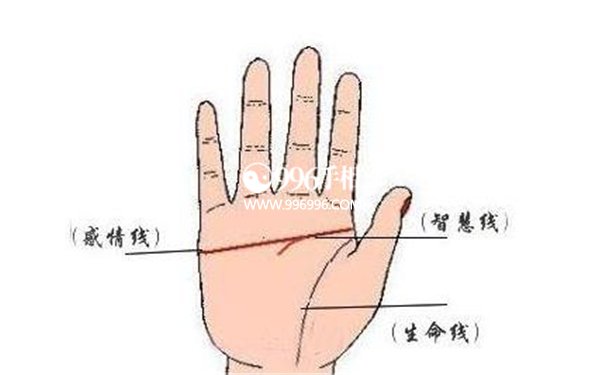 女人手相
