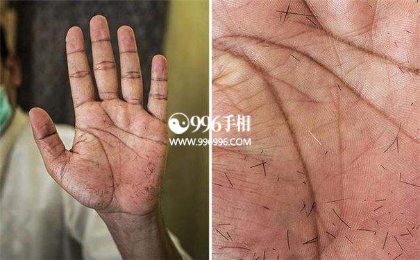 手掌特征
