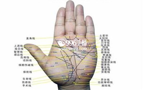 看手知病