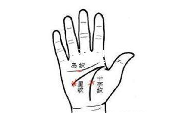智慧线浅