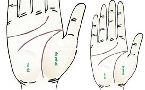 凤尾纹