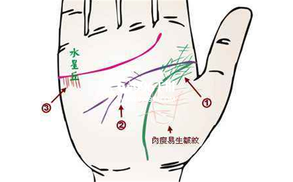 看手掌知疾病