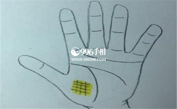 生命线和命运线