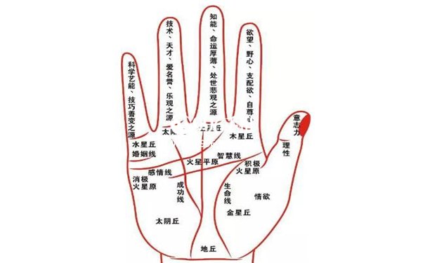 小拇指短手相