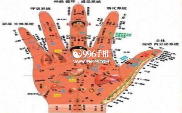 掌纹与疾病