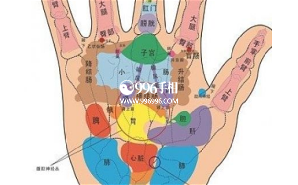 手纹查病