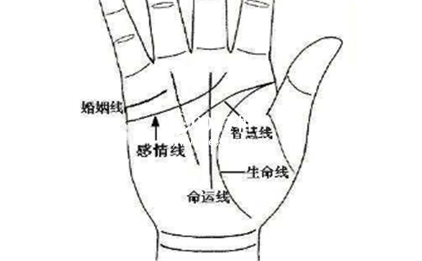 手相感情线
