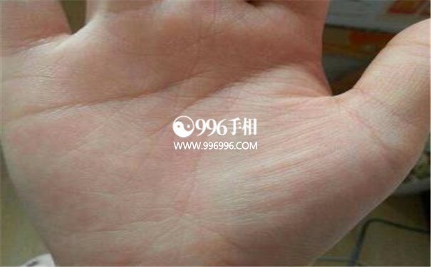 手相不动产