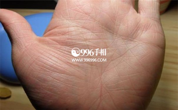 手相掌纹
