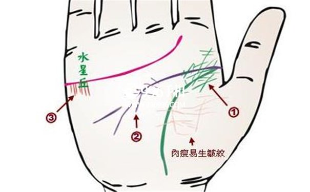 手掌纹与疾病的关系