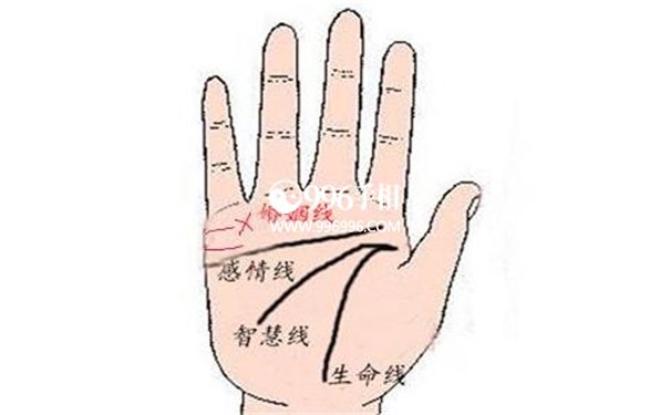 婚姻线分叉手相寓意解析各有各的寓意都不相同
