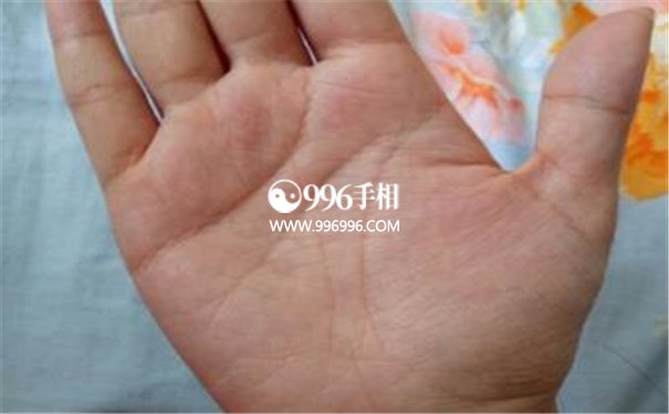 女人经商手相