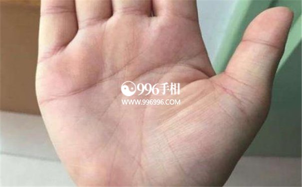 从生命线特征看