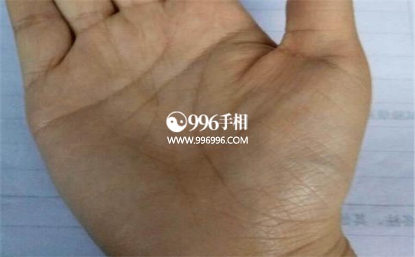 手掌特征