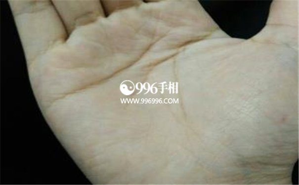 比较好的手相
