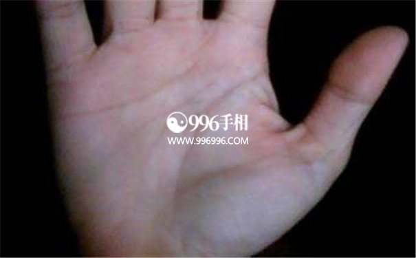 比较好的手相