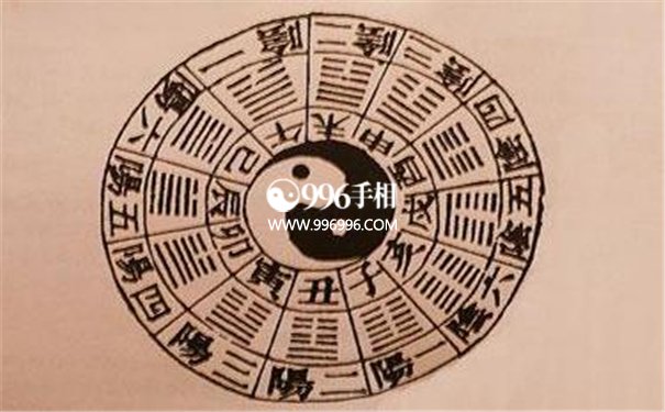 爱到尘埃里的生肖