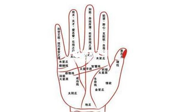 大横财的手相