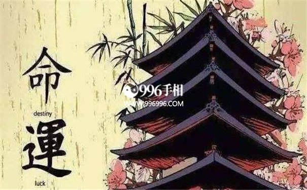 聪明的生肖