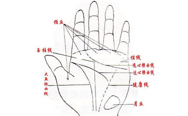 看手知病