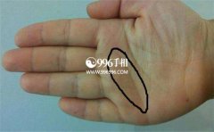 �����ȫͼ�����������������������������