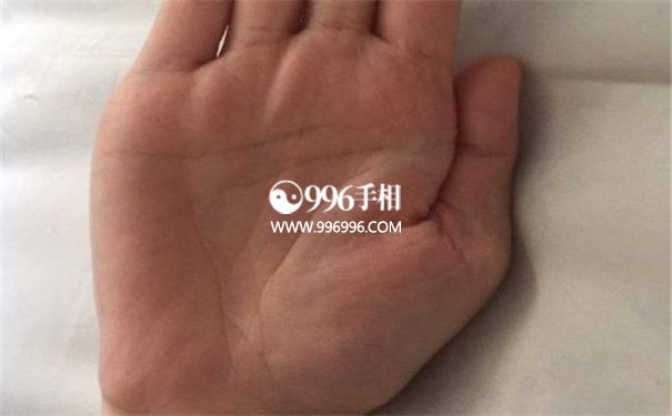 手相学大全