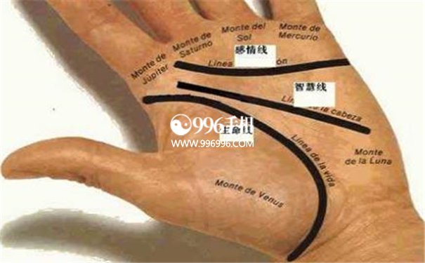 掌纹诊断