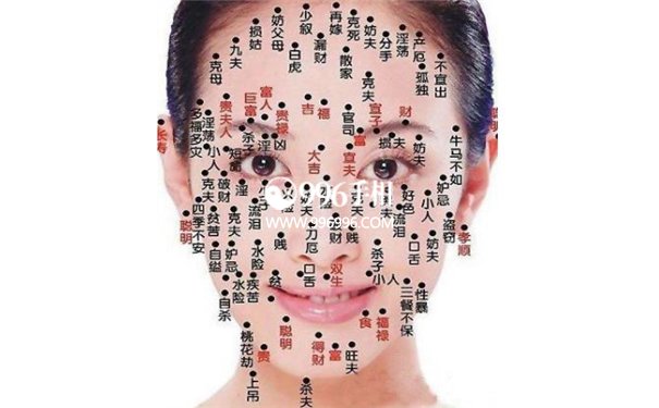 女人痣相图解