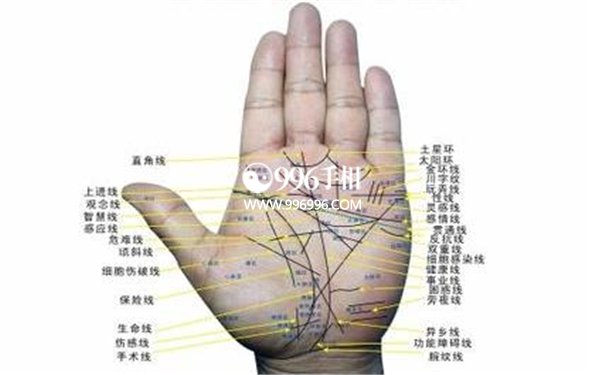 看手识病