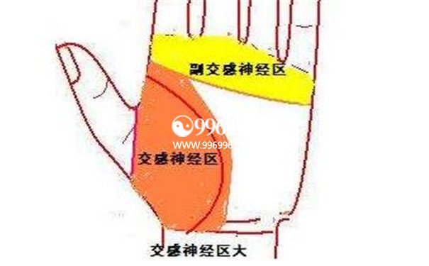 掌纹诊断疾病