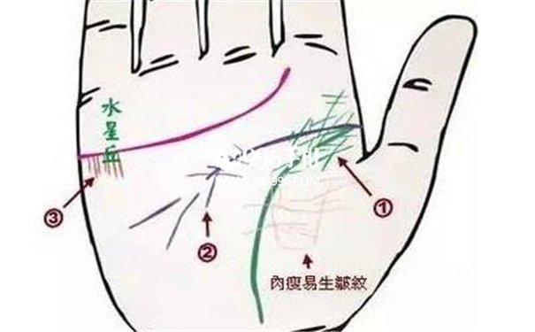 从手相观健康