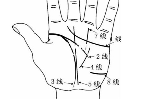 从手掌看