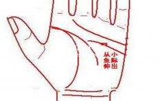 什么样的手相是长寿的手相,有什么特点