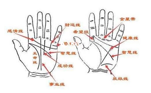 女性手相解析图片