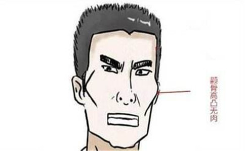 ��ȧ������������ʲô����