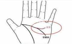 ʲô�Ǹ���������