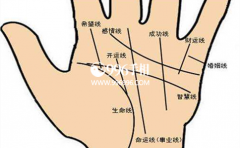 �������������˺ò���