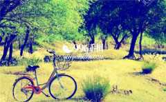 �������������ʲô������