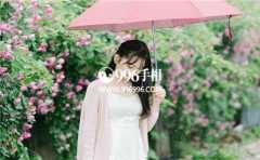 �����࿴�����Ƿ���