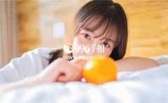 ����3�ָ��ɵй�������