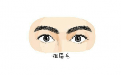 ʮ󸻹üë һǴ󸻴 Ľ 