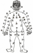 背部痣的图解对照表 每一类痣的预防和治疗方法